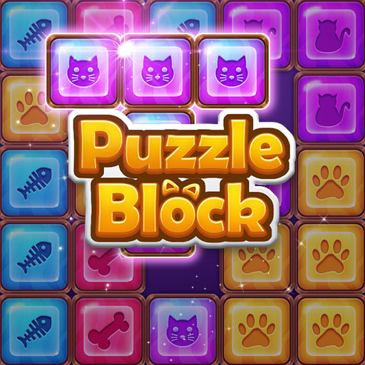 Hra - PuzzleBlock
